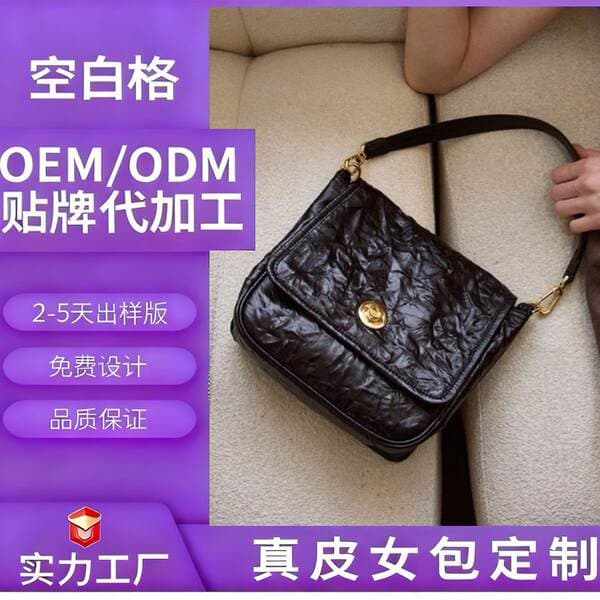 Genuine Leather Women's Handbag 2025 French New Style Grained Leather Shoulder Bag Pleated Niche Design Underarm Vintage Bag Versatile
