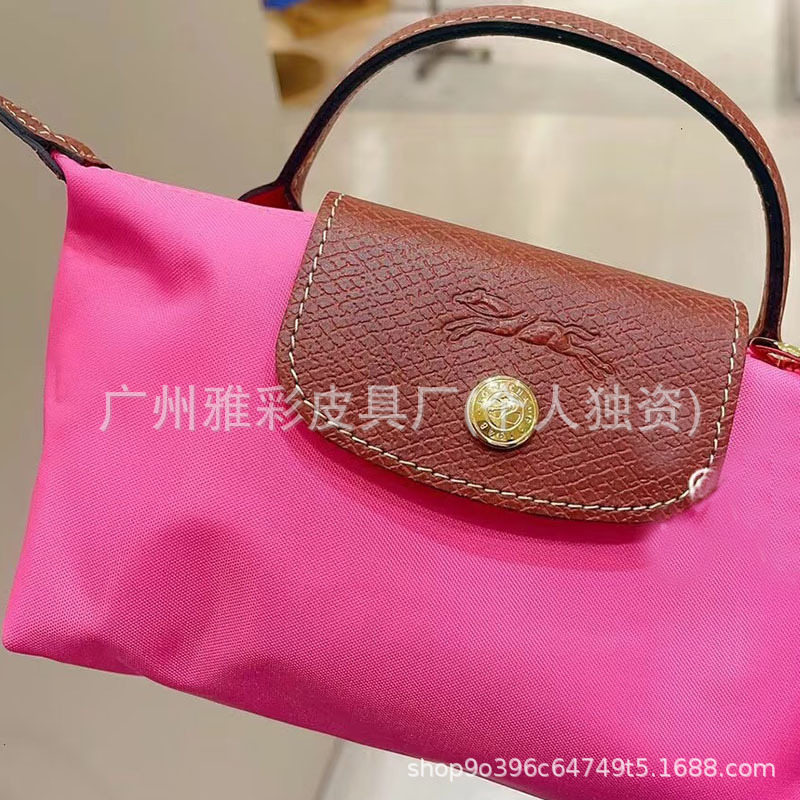 Cross-Border Dragon Inlaid Mini Dumpling Bag - Versatile Daily Commute Cross-Body Handbag for Women - Thumbnail 23