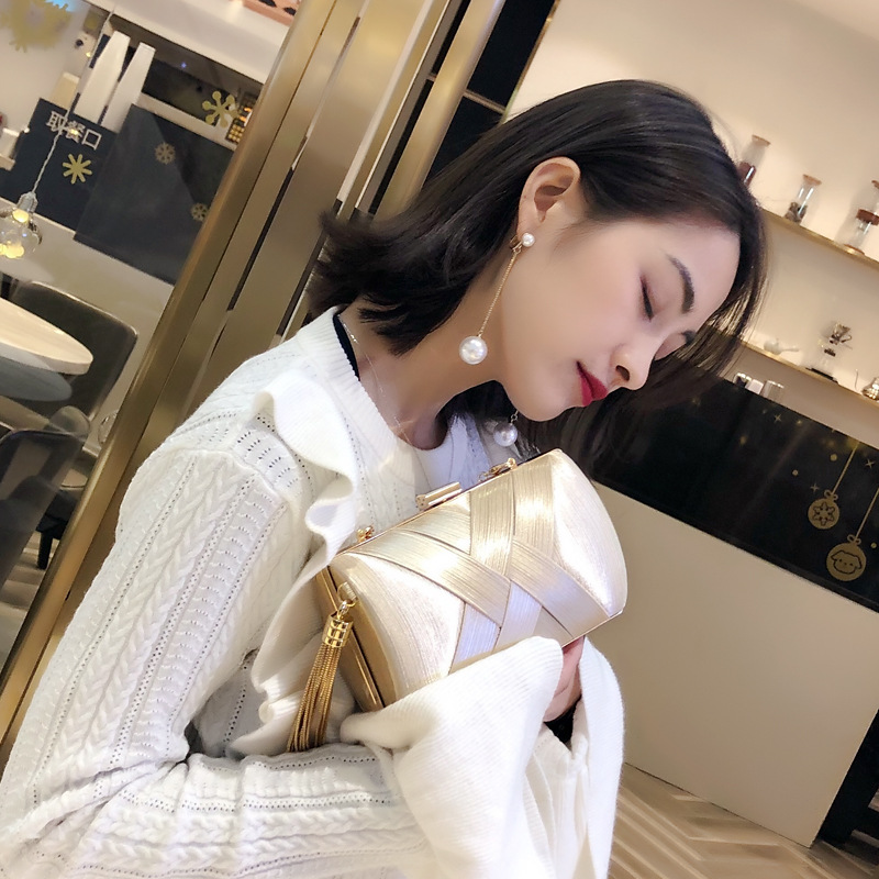 Evening Bag for Daily Use